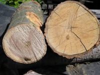 Green Woodworking Hand Tools